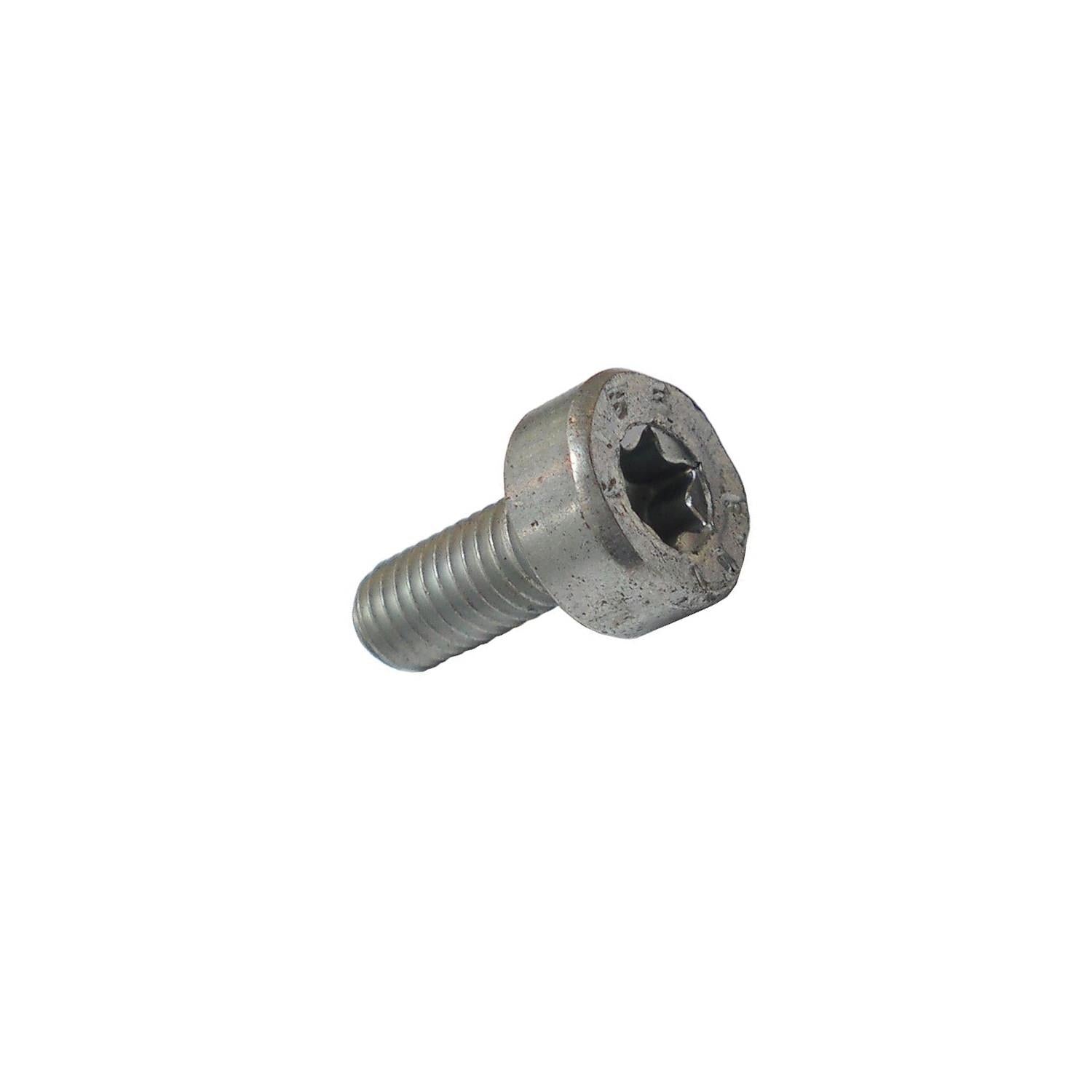 Stihl 9022 341 0960 Spline Screw (M5 x 12)