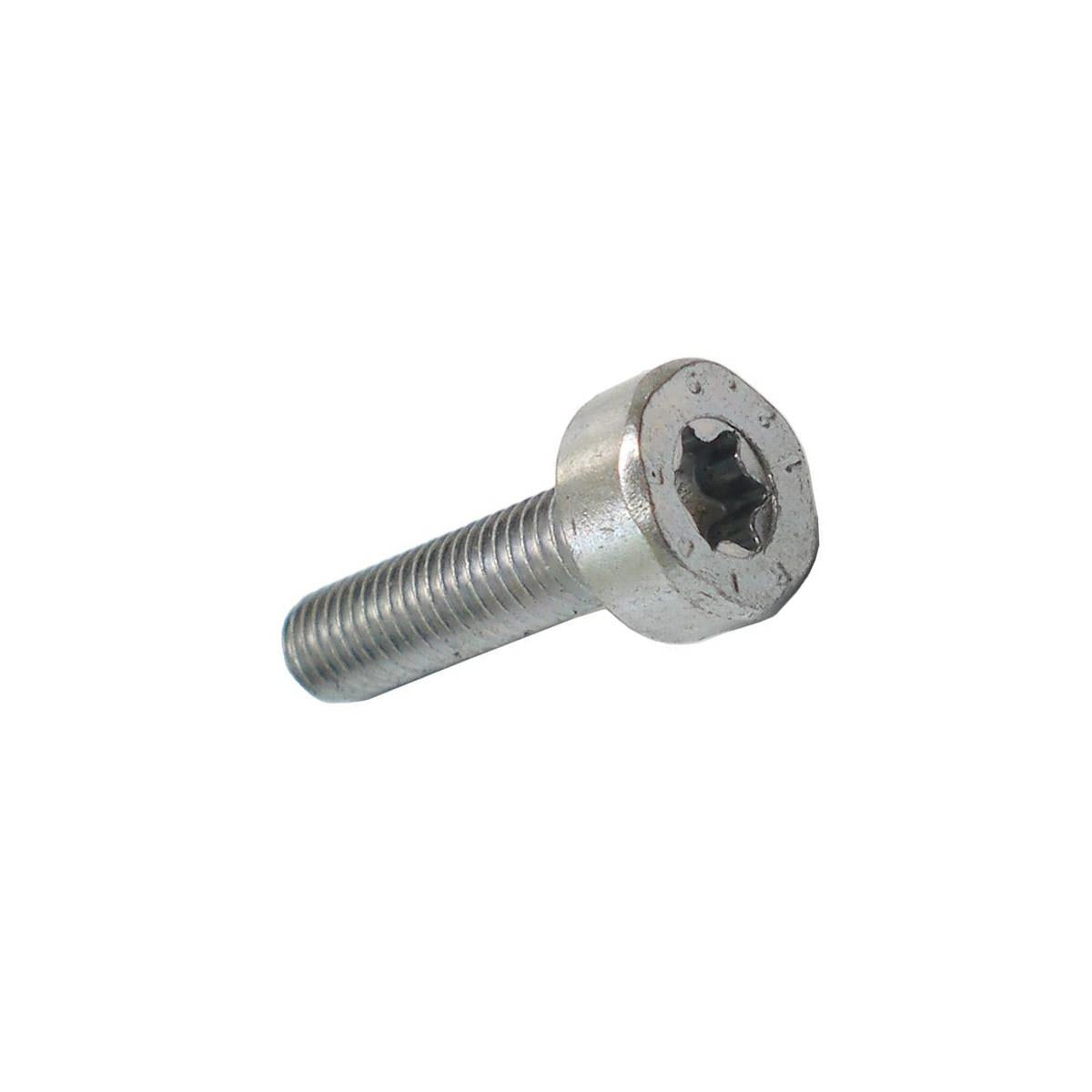 Stihl 9022 371 1020 Spline Screw (M5 x 20)