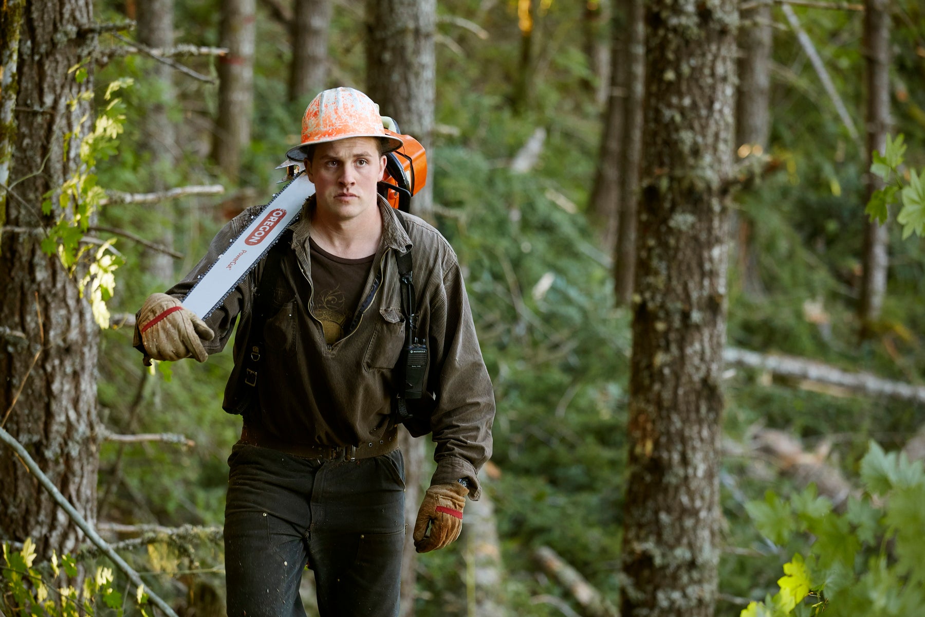 American Forestry