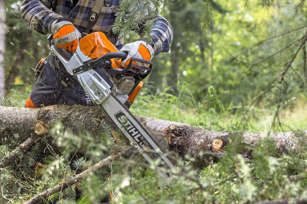 Person cutting a tree branch with a Stihl chainsaw in the forest
