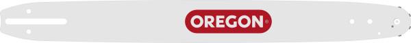 Oregon 540394 Bar & Chain Combo, 18" (A041)